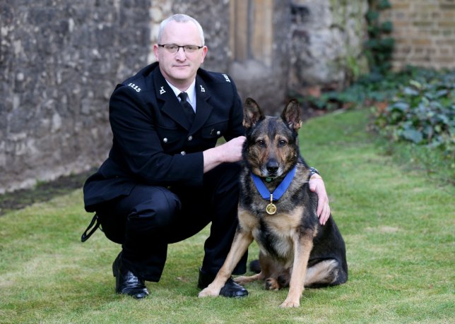 Police Dog Finn Brings Simon Cowell To Tears On Britain's Got Talent ...