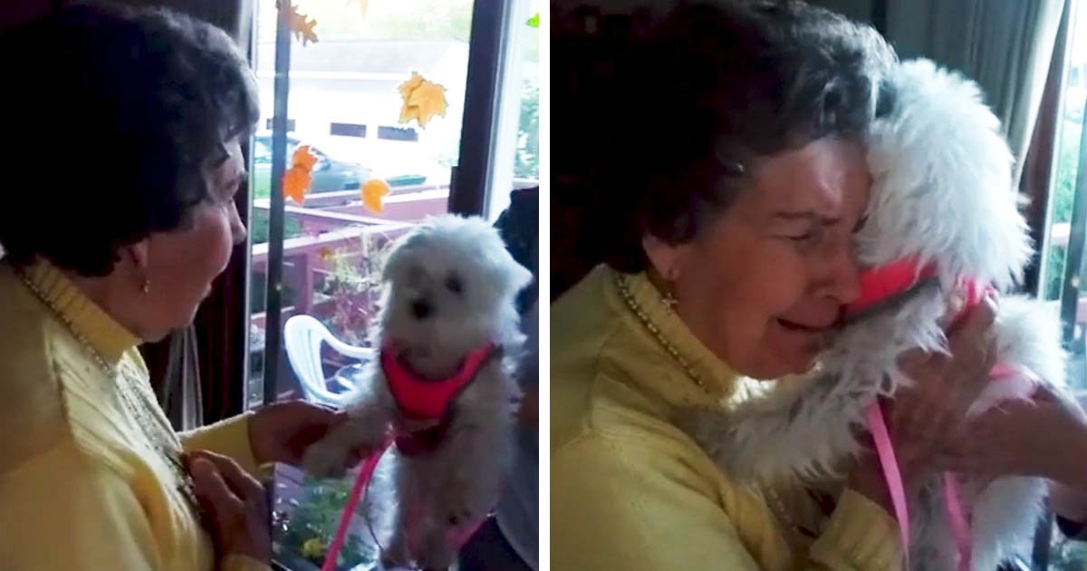elderly-woman-puppy-surprise