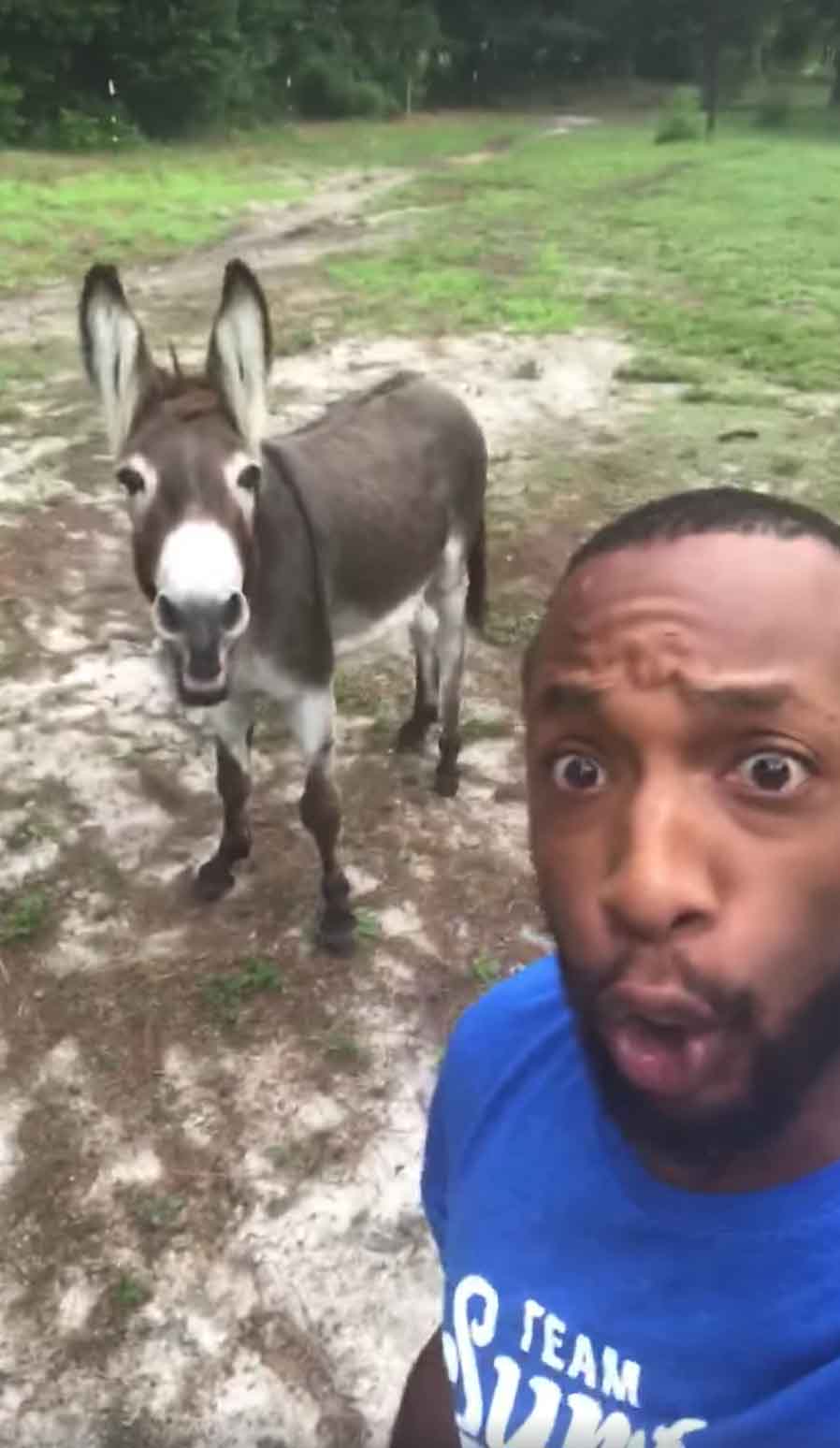 man-donkey-duet-2