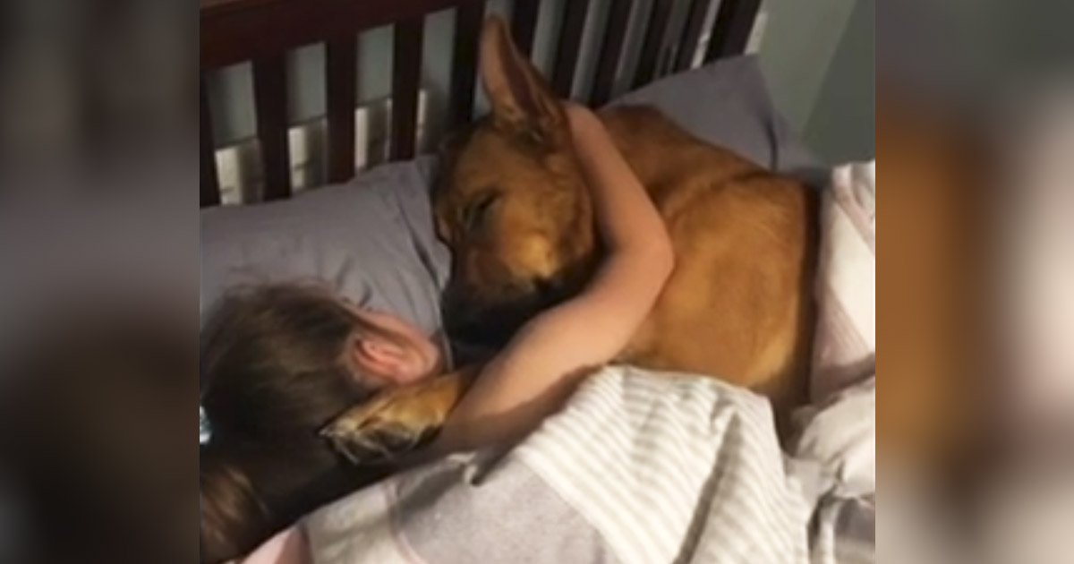 girl-and-dog-sleep-together