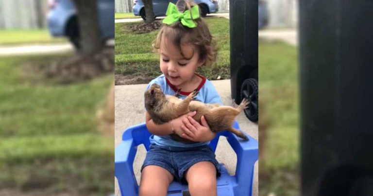 girl-cuddles-prairie-dog