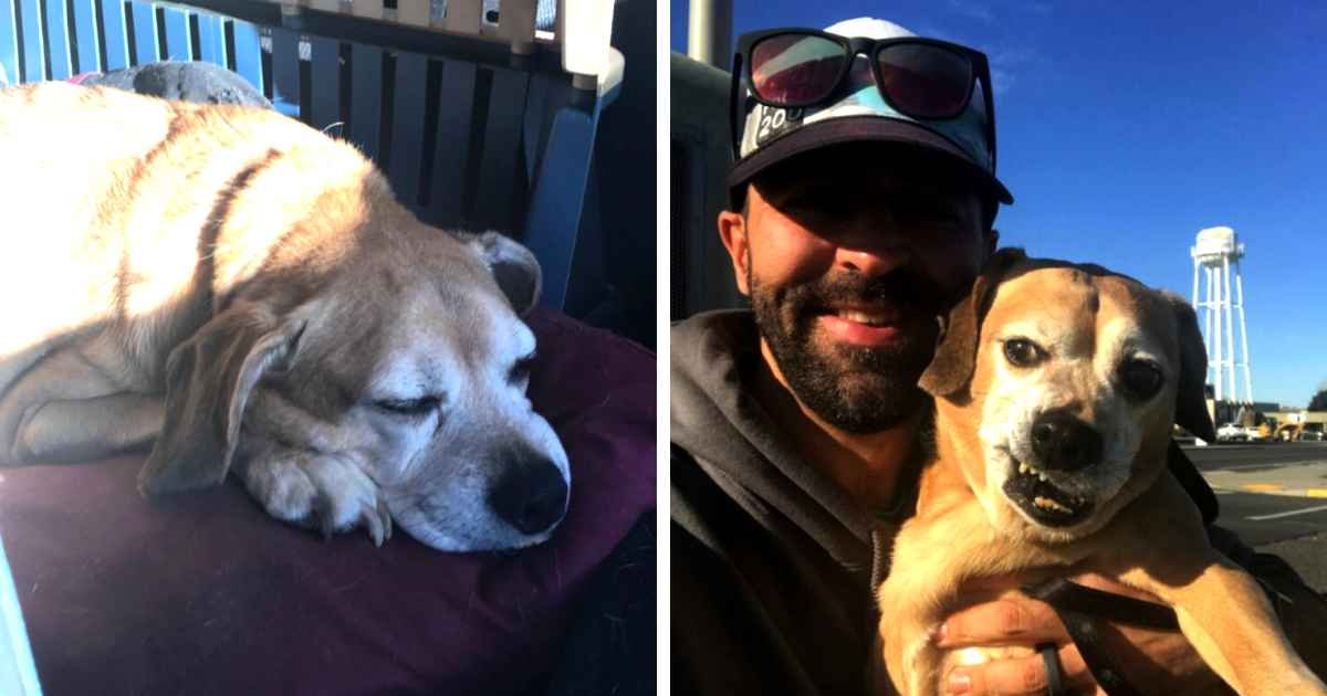 man-reunites-dog-terminal-ill-owner