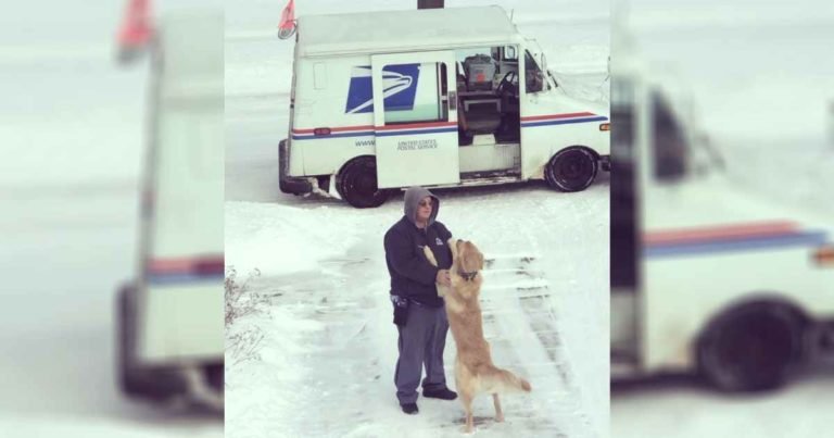 dog-waits-for-mailman