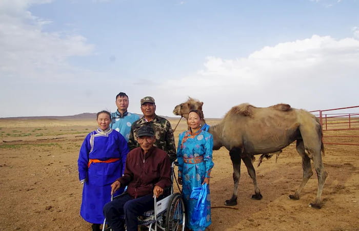 camel-returns-to-owner-2