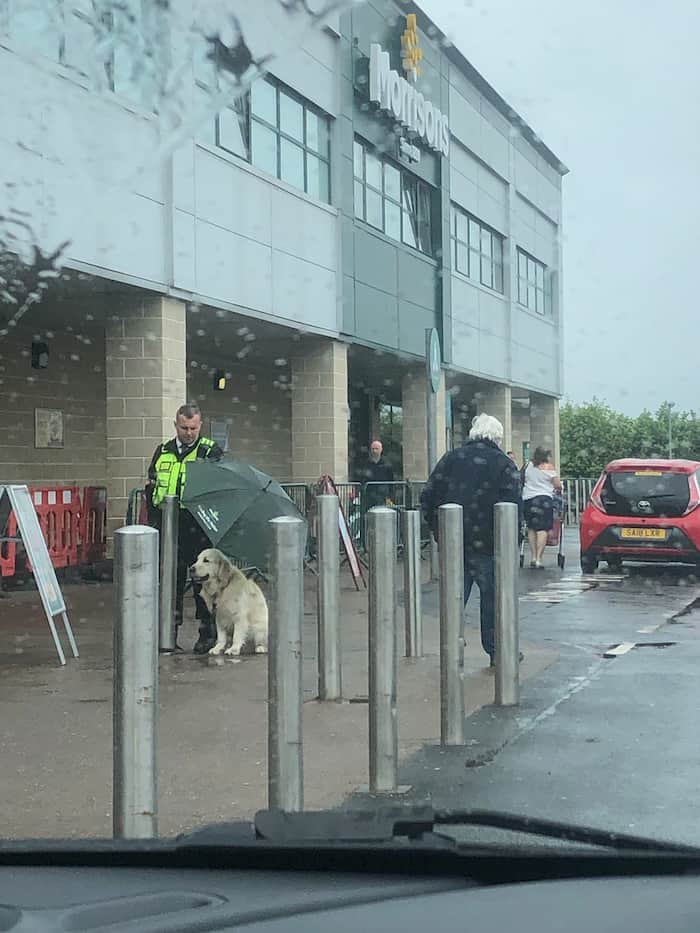 security-guard-protects-dog-from-rain-2