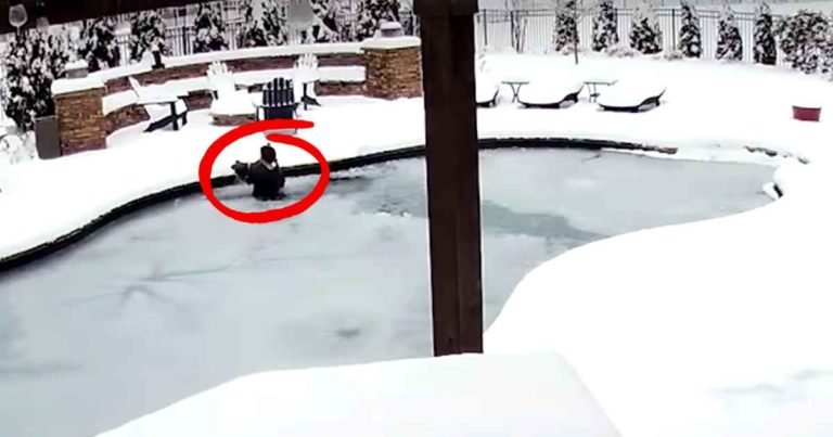 woman-rescues-dog-from-frozen-pool
