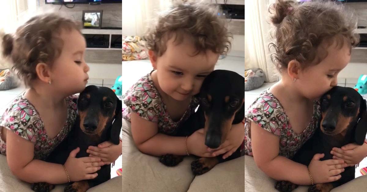 little girl snuggling with puppy cute video