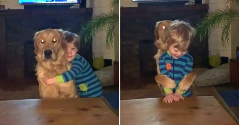 dog-hugs-toddler