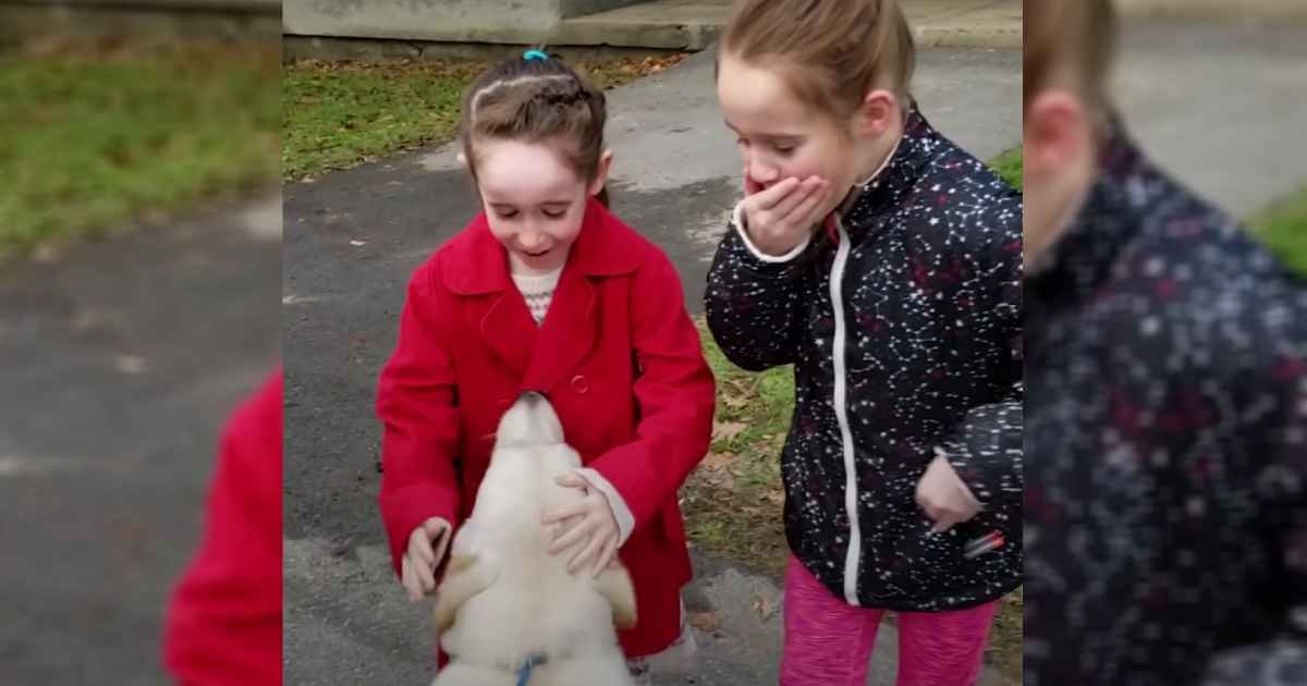 mom-surprises-daughters-with-shelter-dog