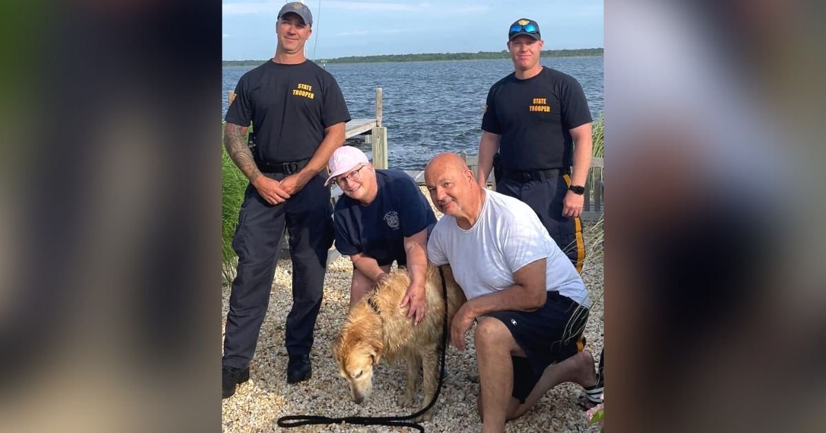 golden retriever rescued NJ bay