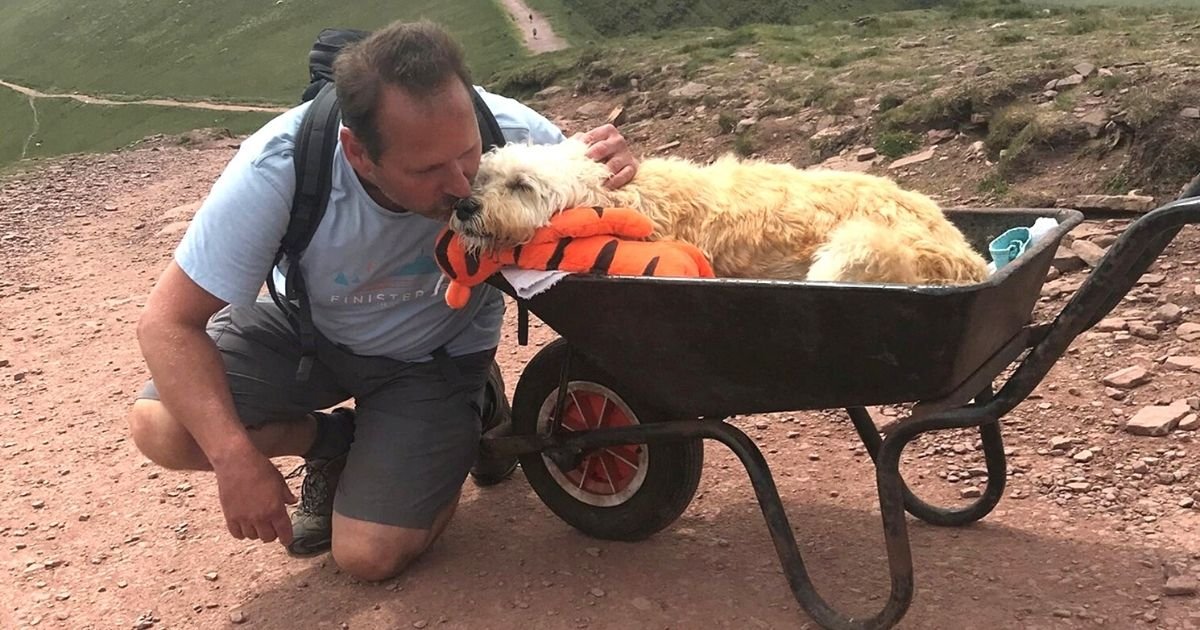 man takes dying dog up mountain