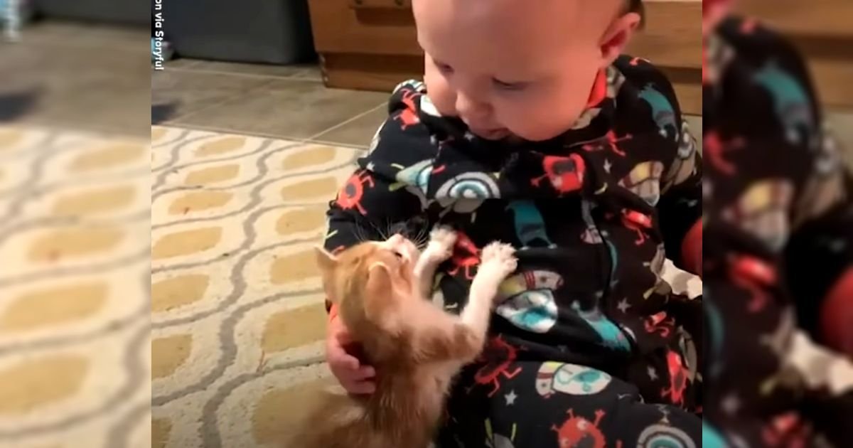 baby-befriends-rescue-kitten