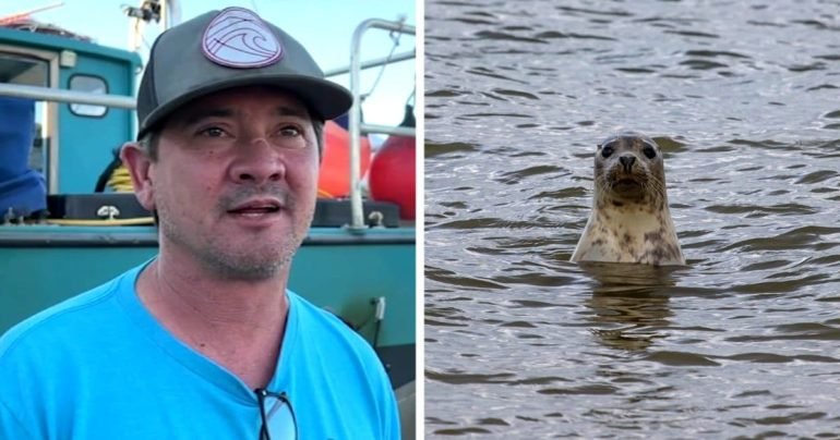 boater-rescued-by-seal-scott-thompson
