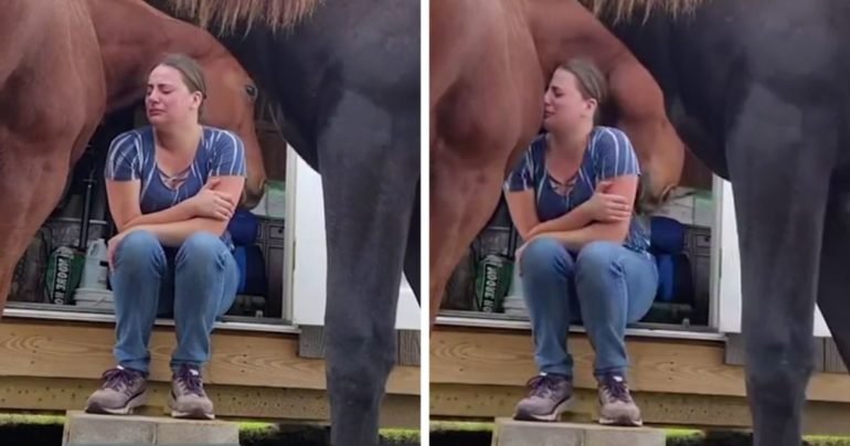 horse-comforts-crying-girl