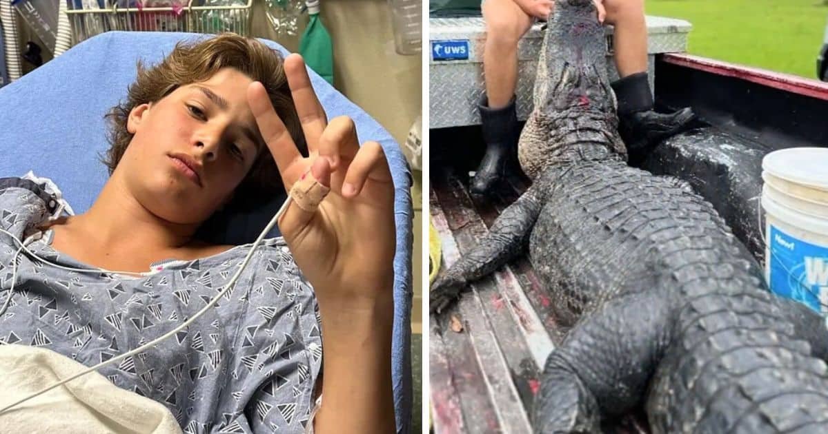 boy fights off alligator florida