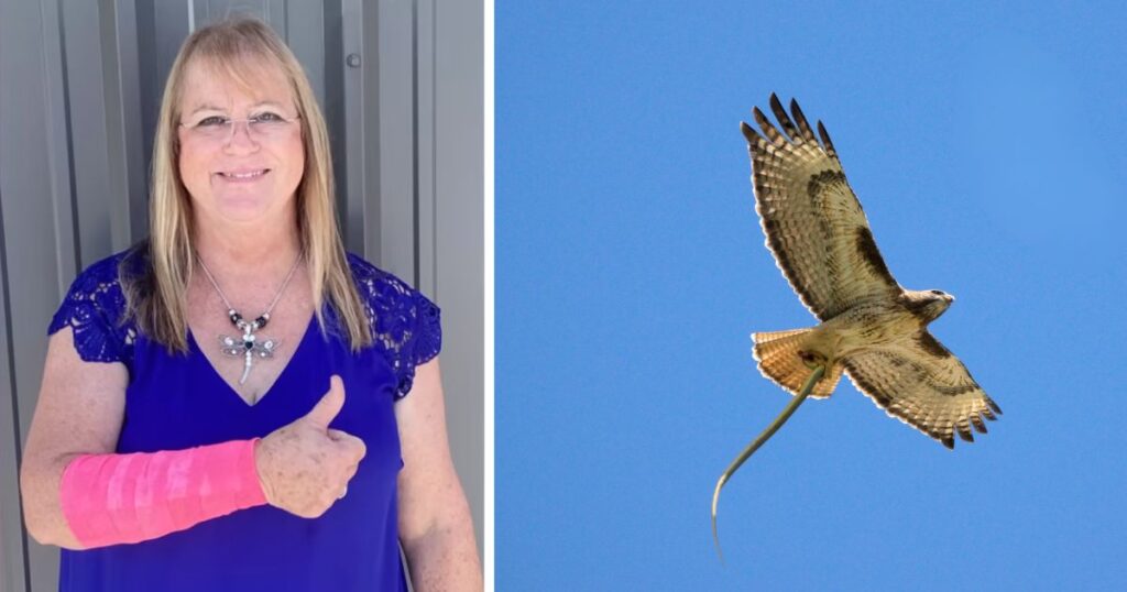 Snake Falls From Sky Onto Woman, Then Hawk Attacks Both