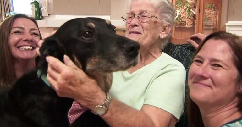 dog sneaks into nursing home scout