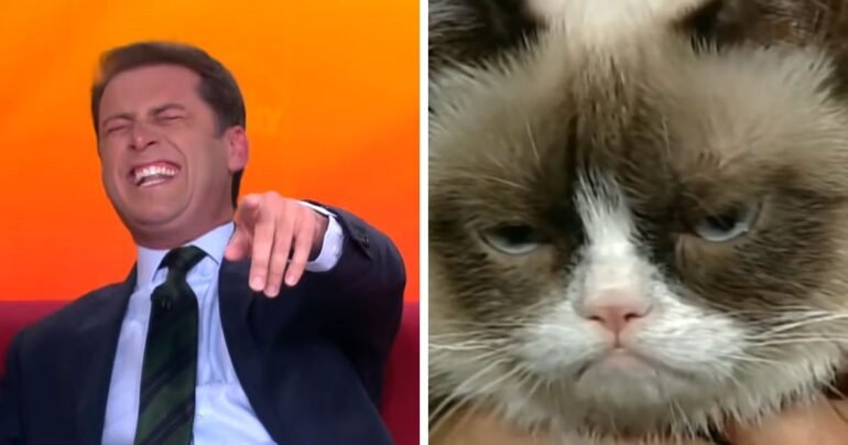 reporter laughing at cat