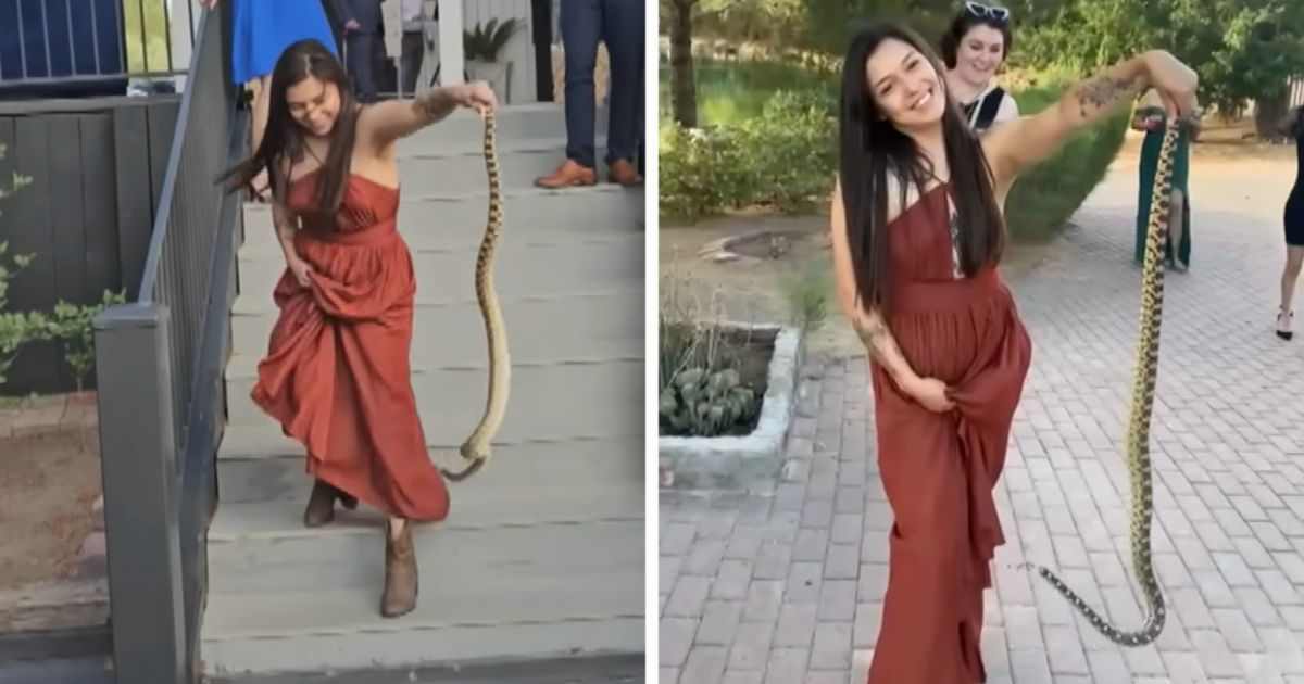 bridesmaid removes snake