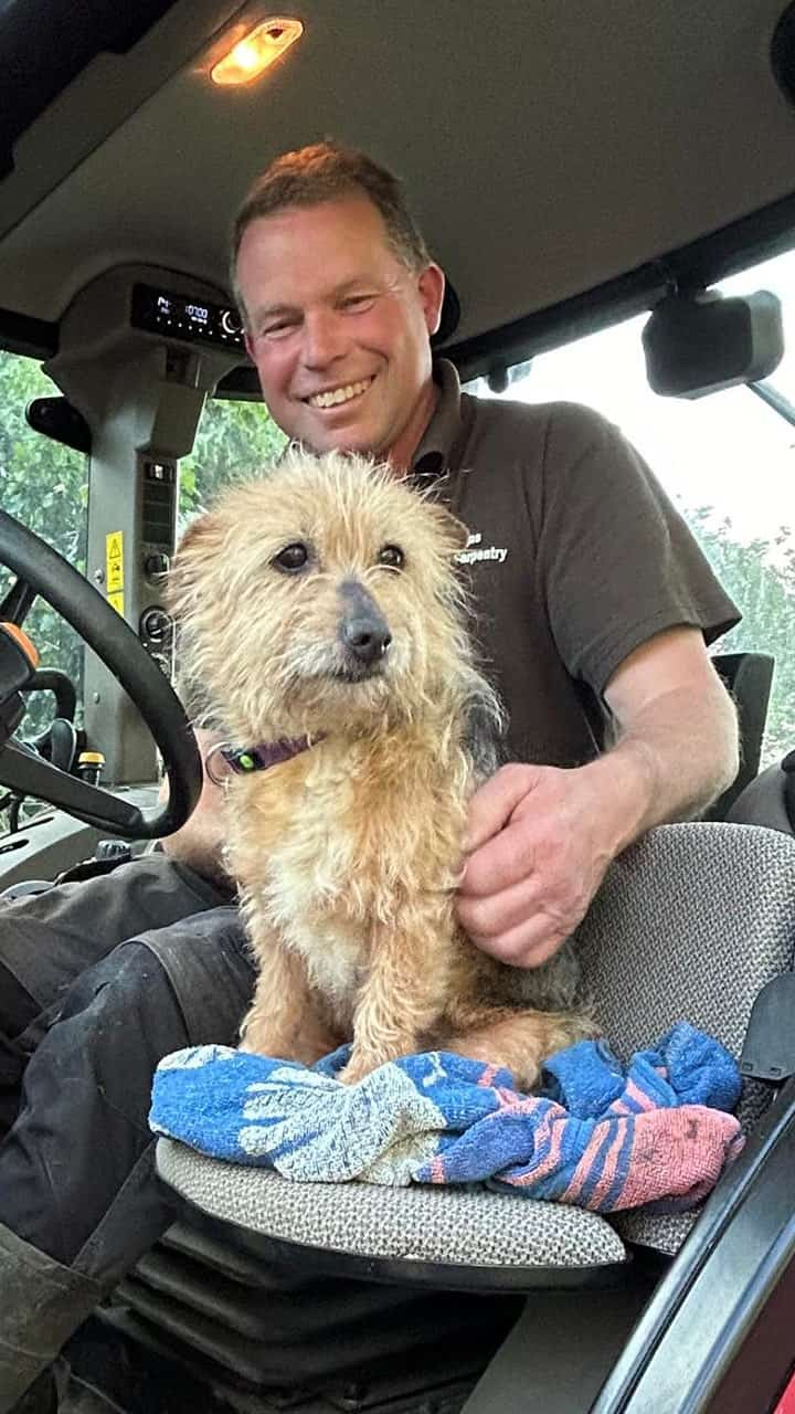 fireman adopts dog