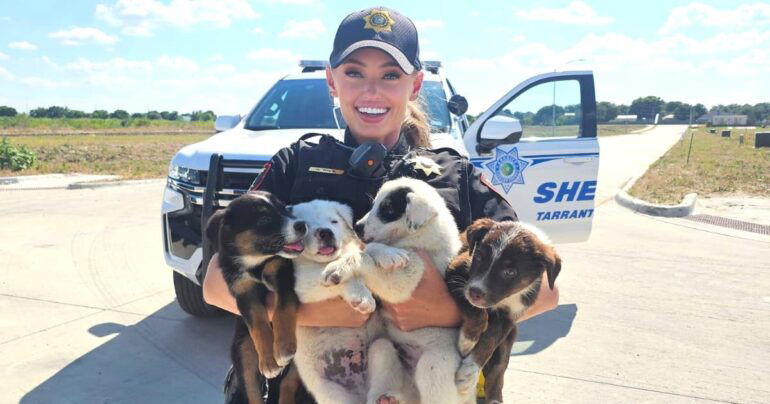 abandoned puppies rescued