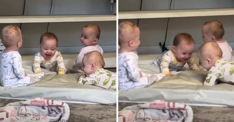 quadruplets baby meeting