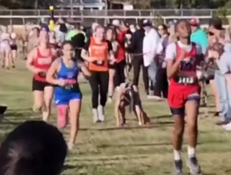 runner helping rival