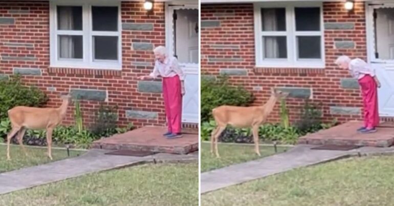 elderly woman and deer