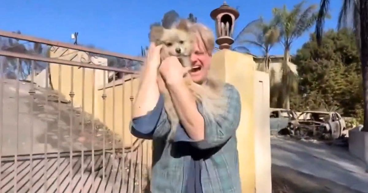 california man reunited with dog