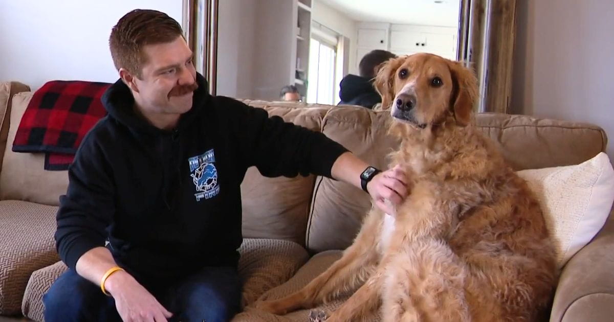 dog saves owner from suicide