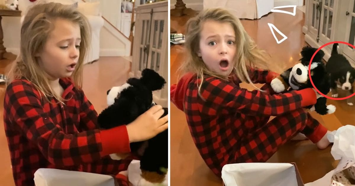 little girl surprised with puppy