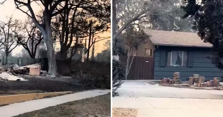 house standing after california fire