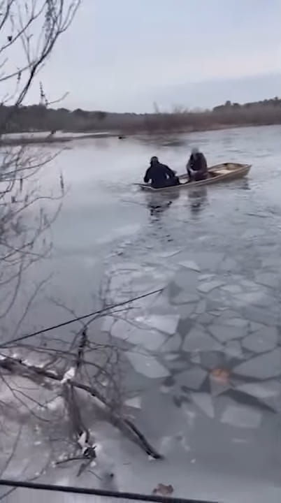 rescuing deer from frozen lake