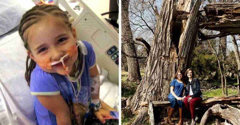 little girl fell in tree annabel beam