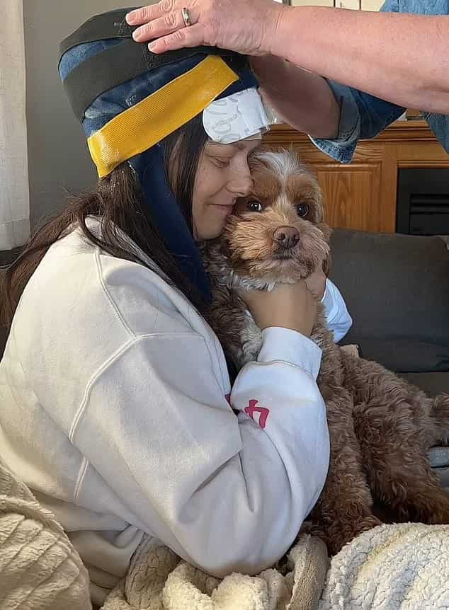 dog detects breast cancer 2