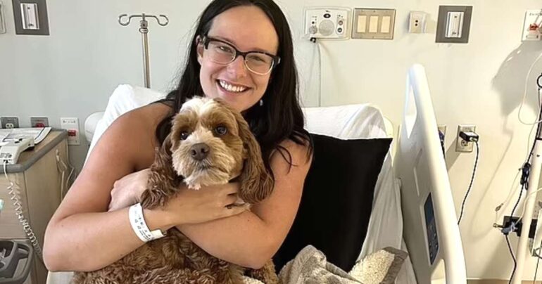 dog detects breast cancer minnesota