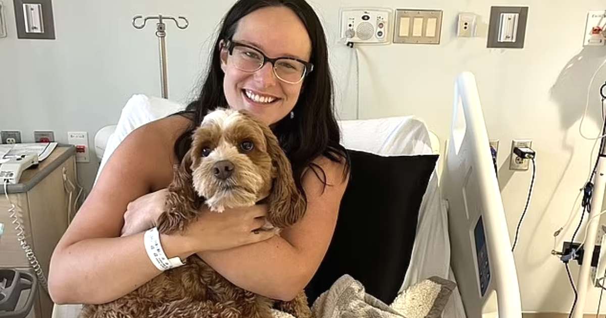 dog detects breast cancer minnesota