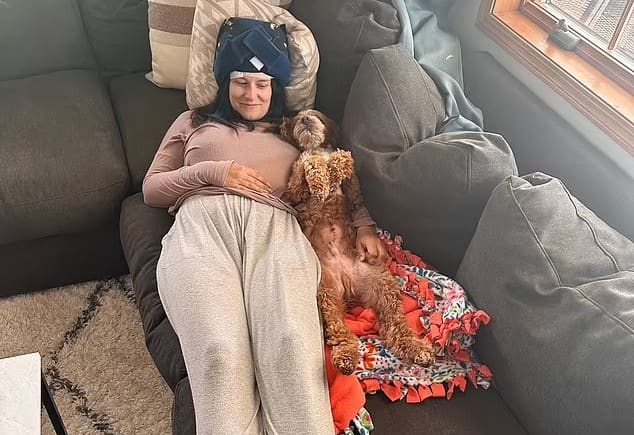 dog detects breast cancer