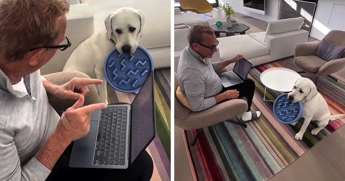 kevin costner interrupted by dog