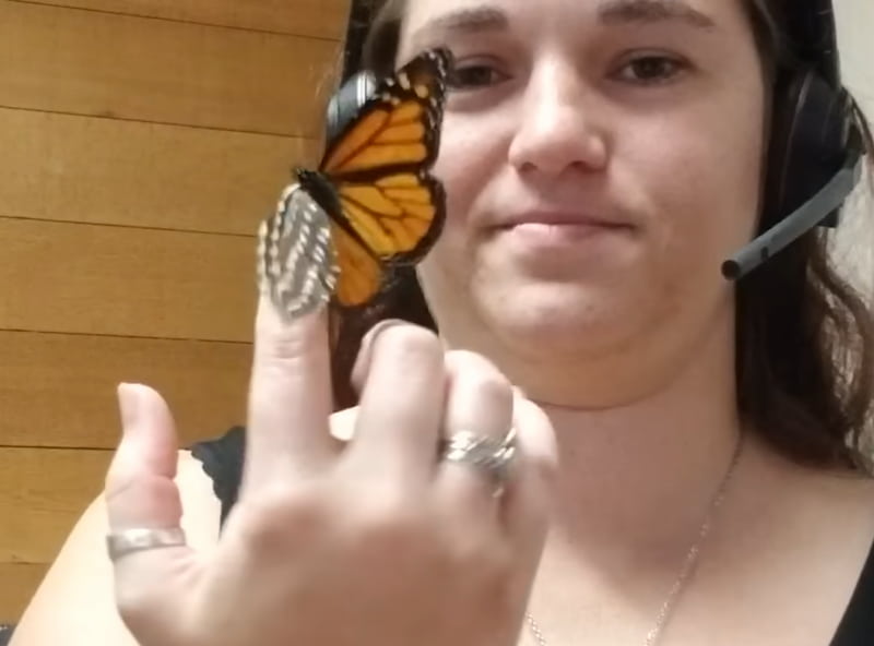 woman repairs butterfly wing 3