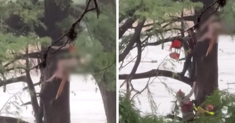guadalupe river flood rescue