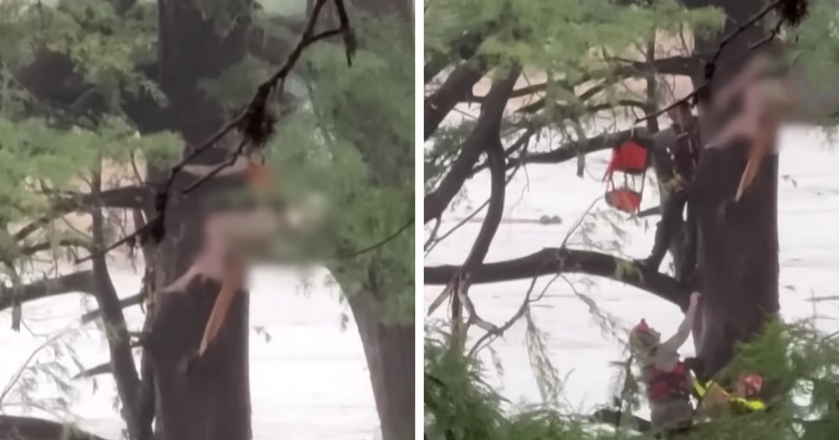 guadalupe river flood rescue