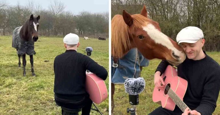 horses listening to music
