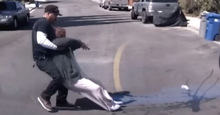plumber saves grandmother from bee attack