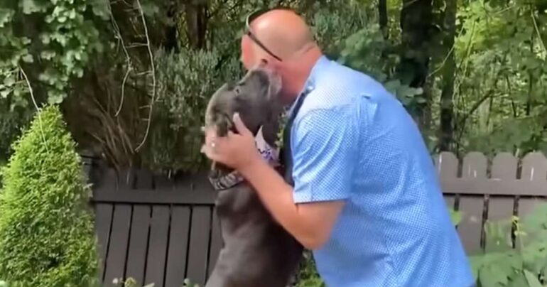 stray dog detects seizure